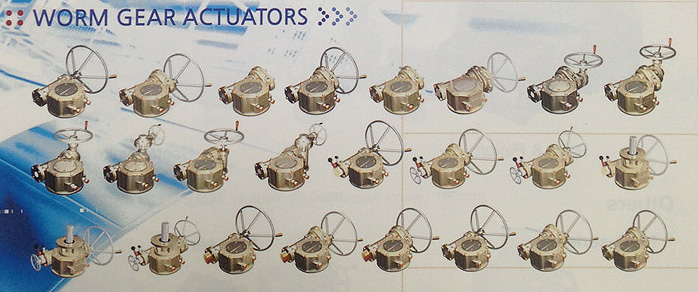 Worm Gear Actuators